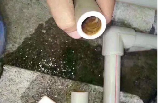 1696499689114077.png 圖片13.png